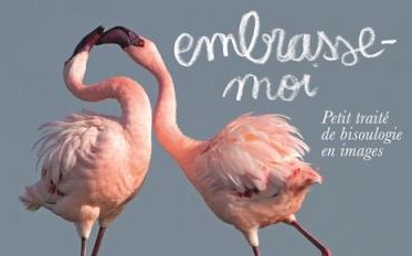 Embrasse-moi