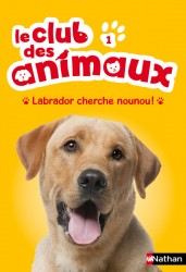 Labrador cherche nounou !