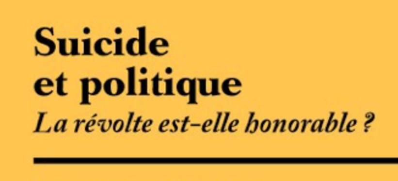 Suicide et politique