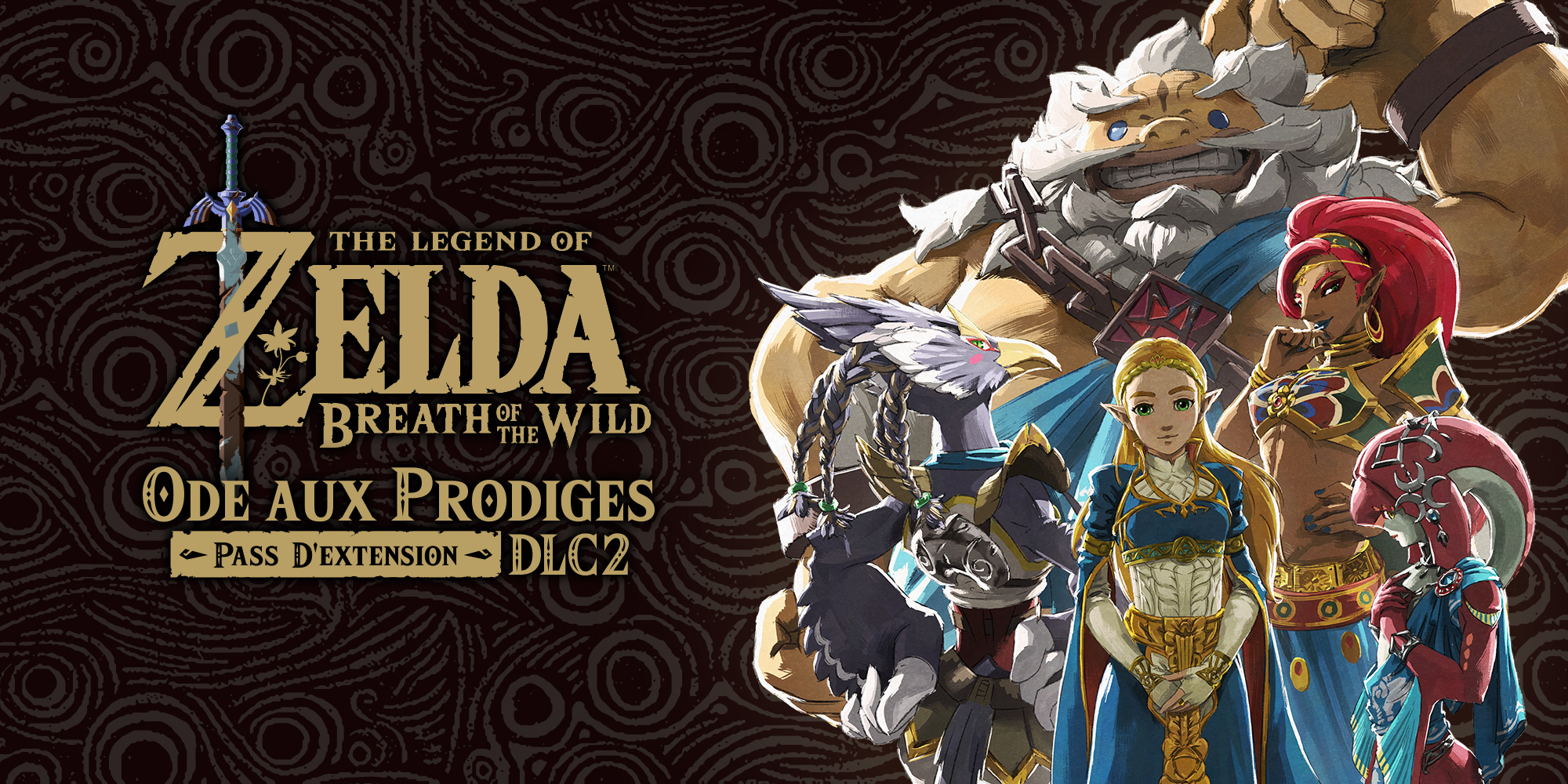 Zelda BotW DLC 2 L’Ode aux prodiges Daily Passions