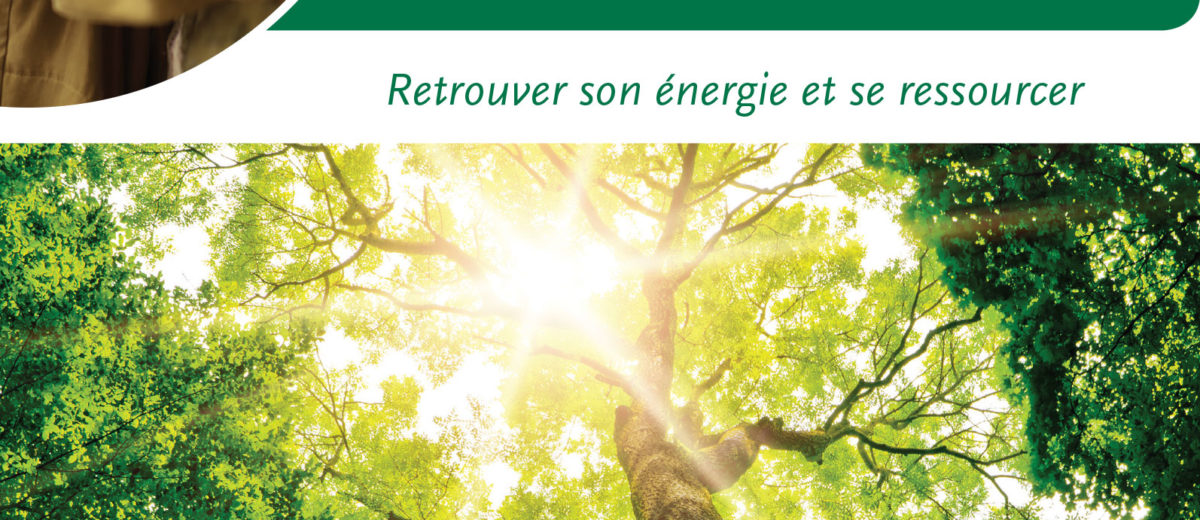 Sylvotherapie Le Pouvoir Bienfaisant Des Arbres Jean Marie Defossez Daily Passions