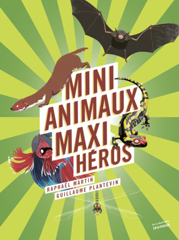  Mini  animaux maxi  h ros Daily Passions